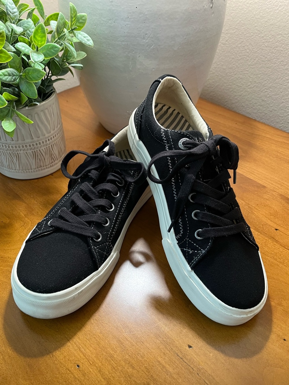 Taos Footwear Plim Soul Black Canvas Sneakers • Size 9 • EUC - Picture 2 of 10